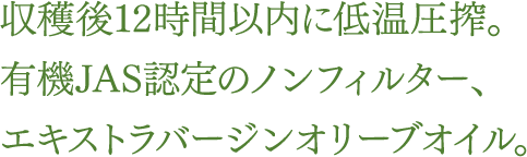 収穫後12時間以内に低温圧搾。有機JAS認定のノンフィルター、エキストラバージンオリーブオイル。